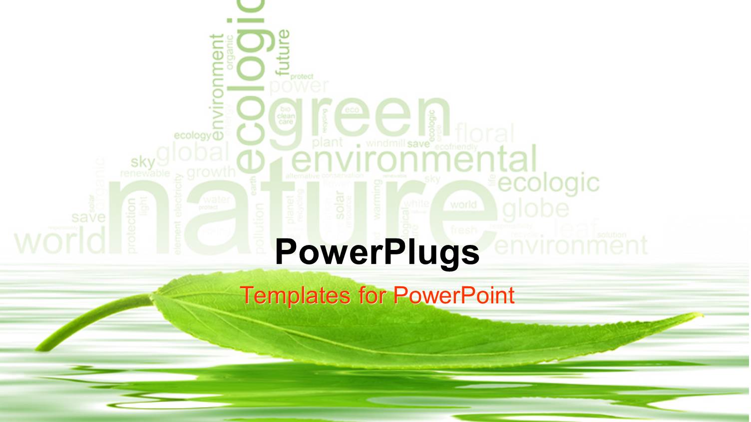 Single Green Leaf Floating Over the Water with Nature Keywords