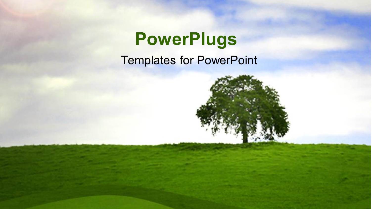 Single Tree on Top of a Hilly Grass Landscape