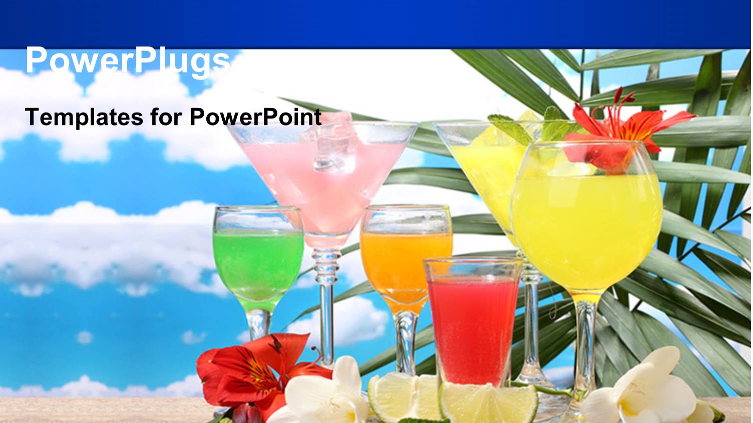 Six Glasses with Colorful Cocktails and Sliced Lemons and Flowers