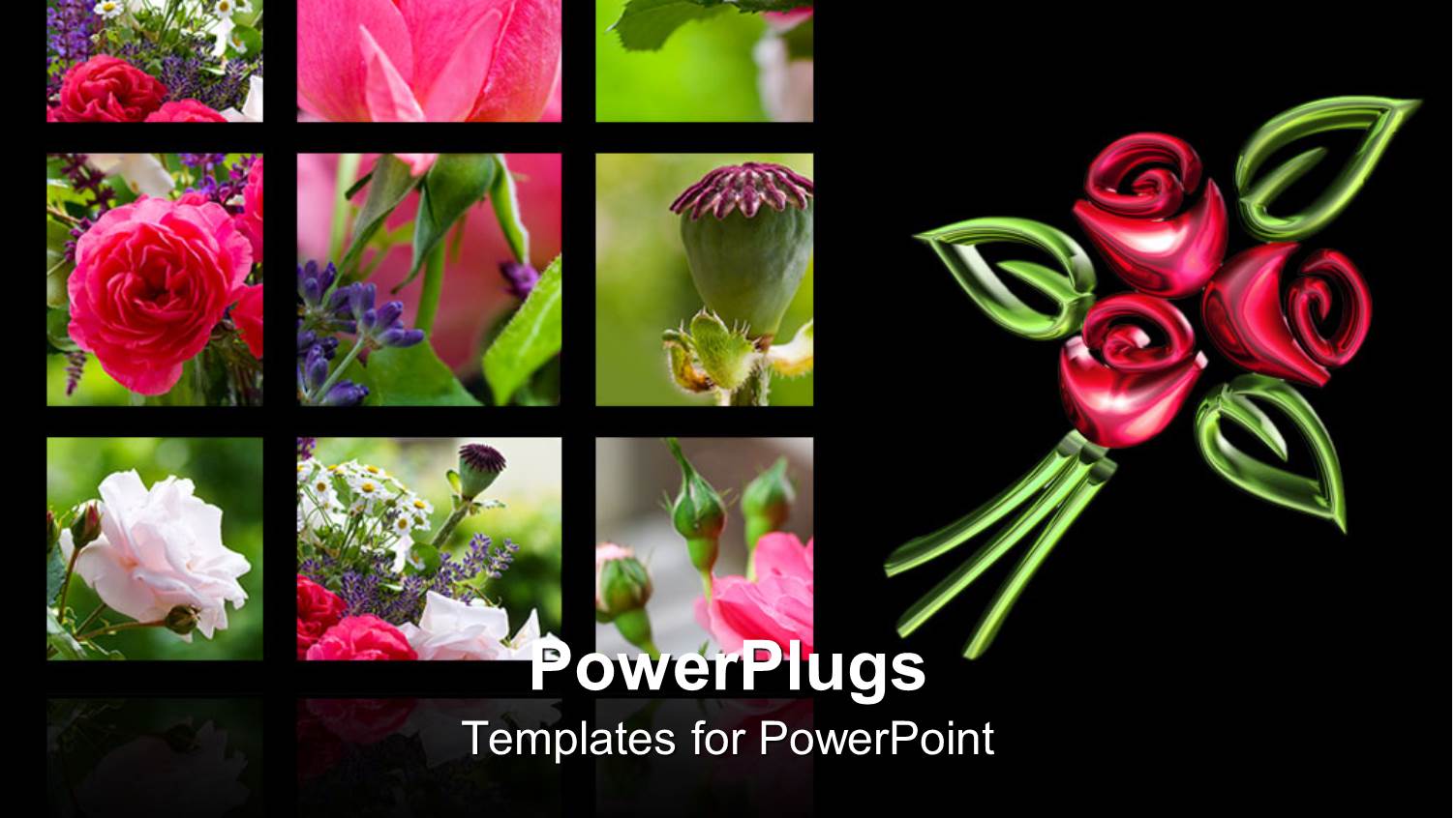 Six Tiles Showing Different Parts and Types of Roses