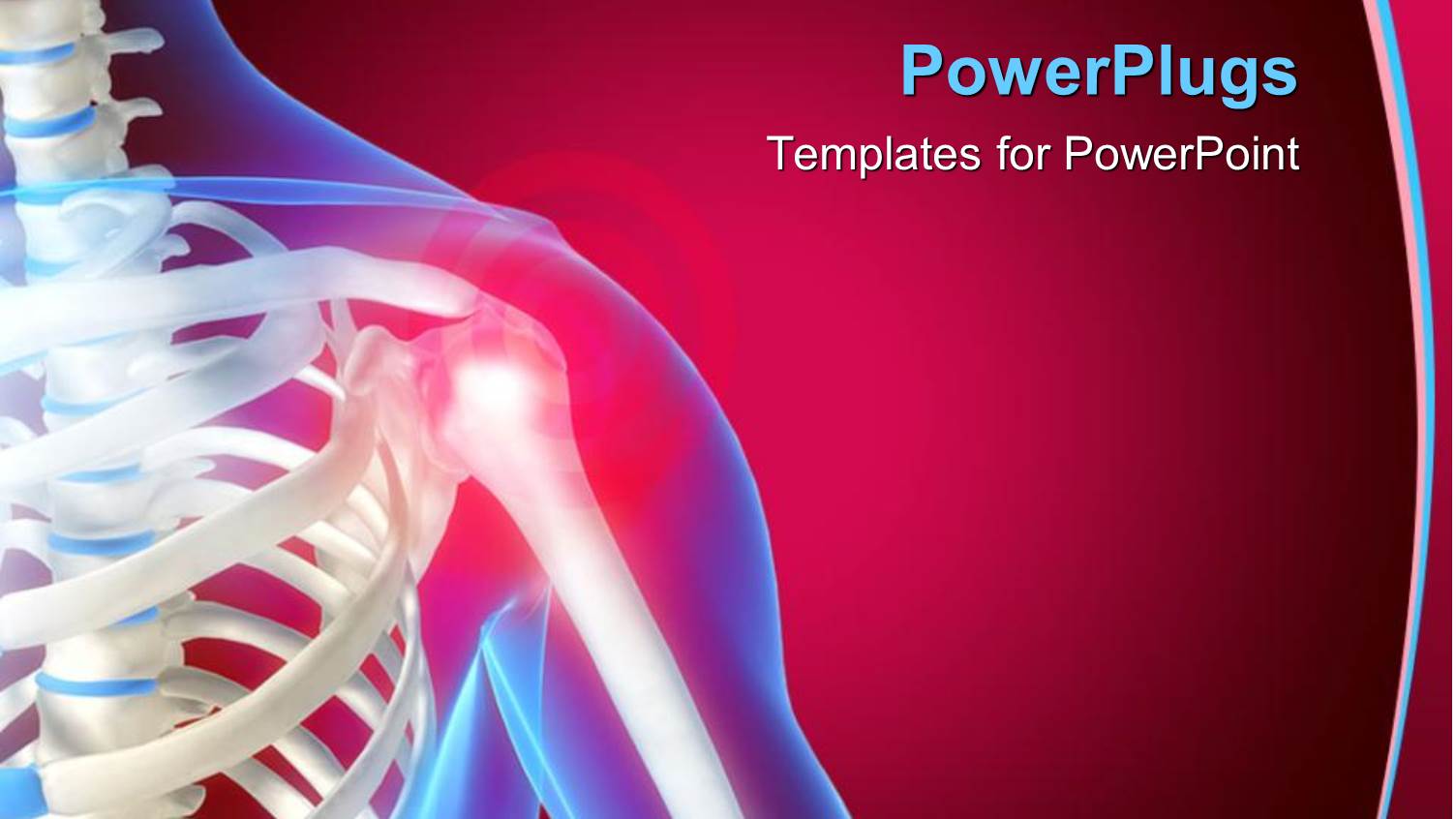 Skeleton Showing the Anatomy of Shoulder, Red Color Indicating Pain in the Shoulder