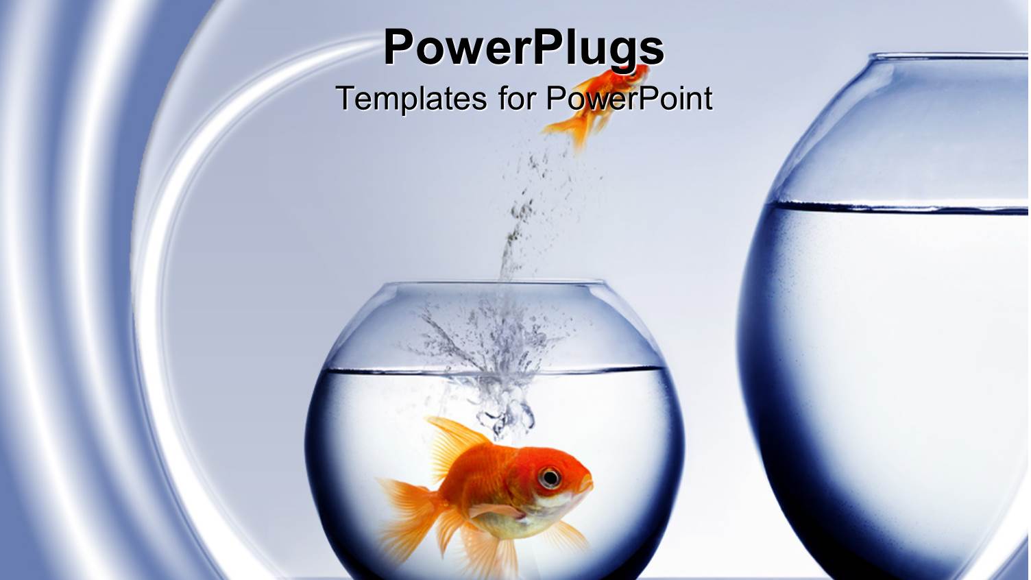 small Goldfish Jumping Out of smaller Fishbowl to larger One and large Goldfish Watching from smaller Fishbowl