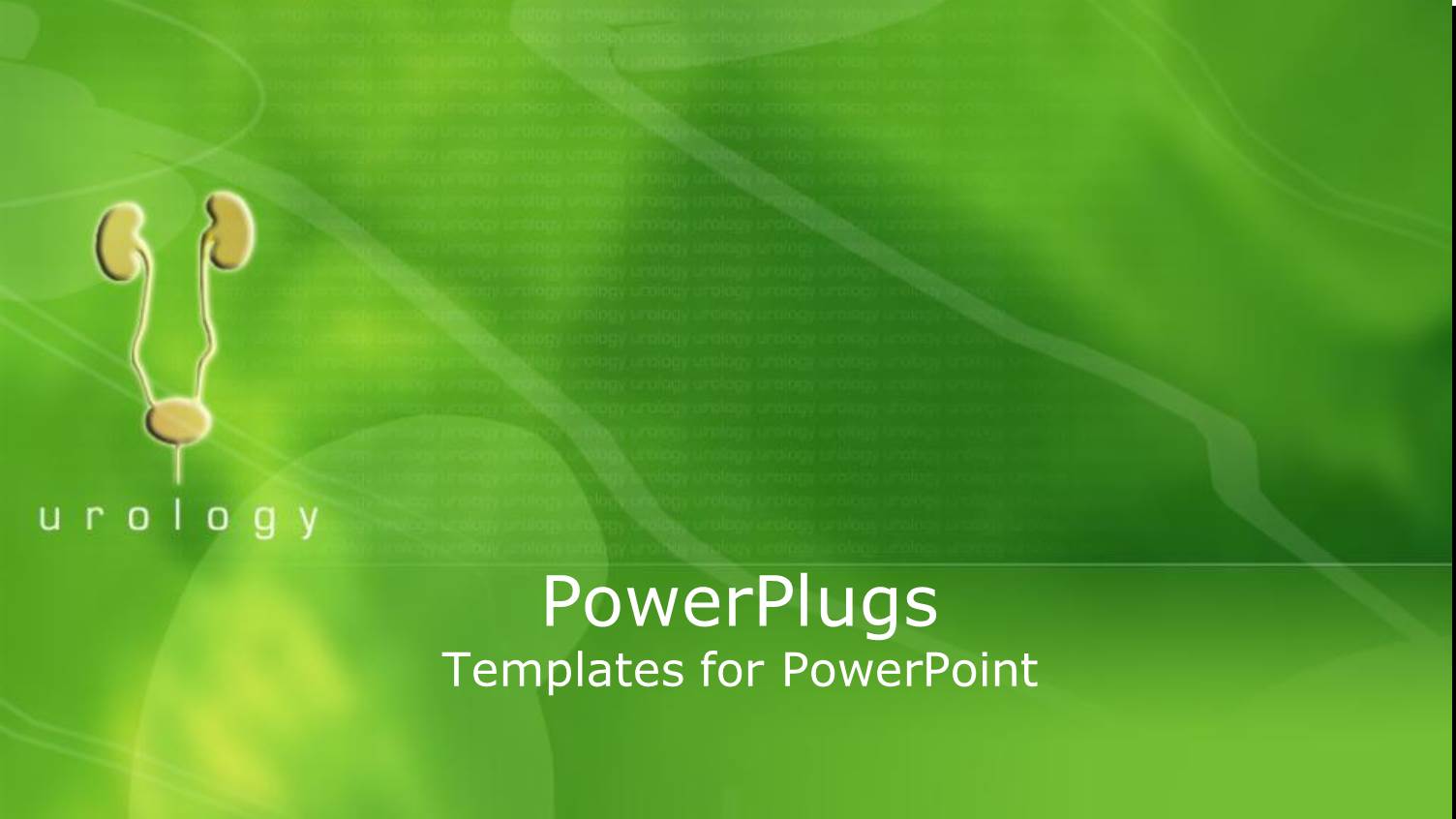 small Visualization of Urinary Tract with Kidneys and Bladder on Green Background