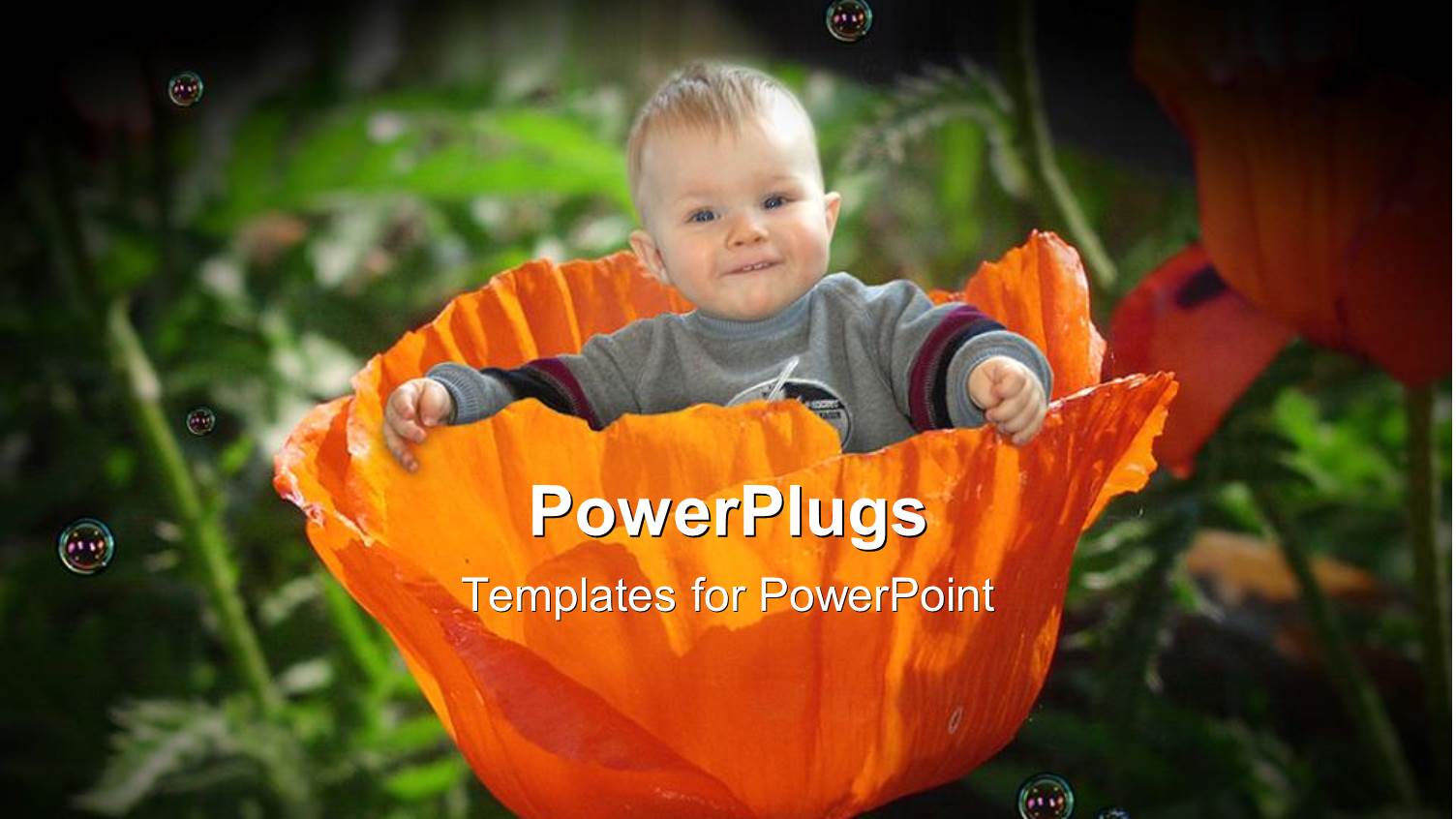 Smiling Baby Sitting in large Orange Poppy Flower