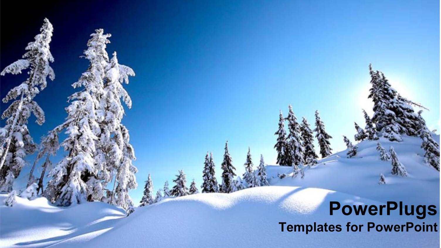 Snow Alps with White Snow Covered Trees