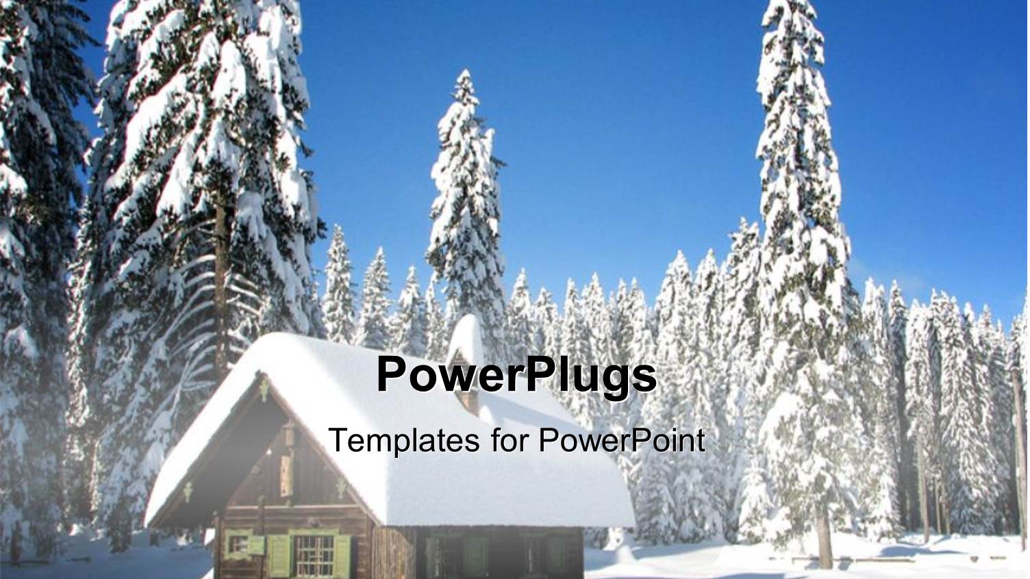 Snow Falling on Christmas Trees and small House in Winter