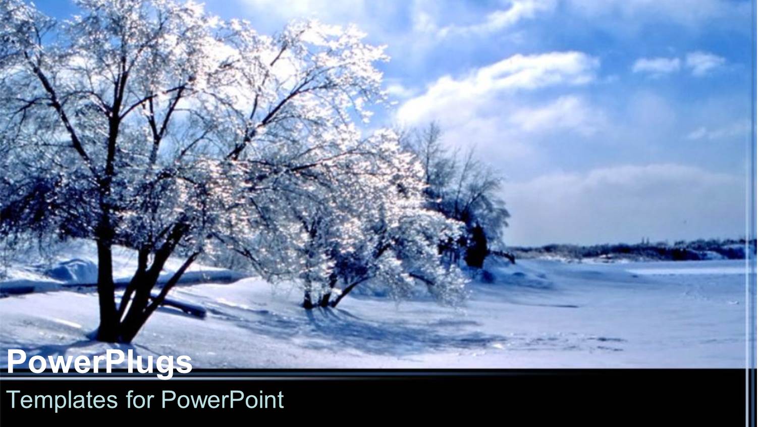 Snowy Trees Winter Time Blue Skies Black Background