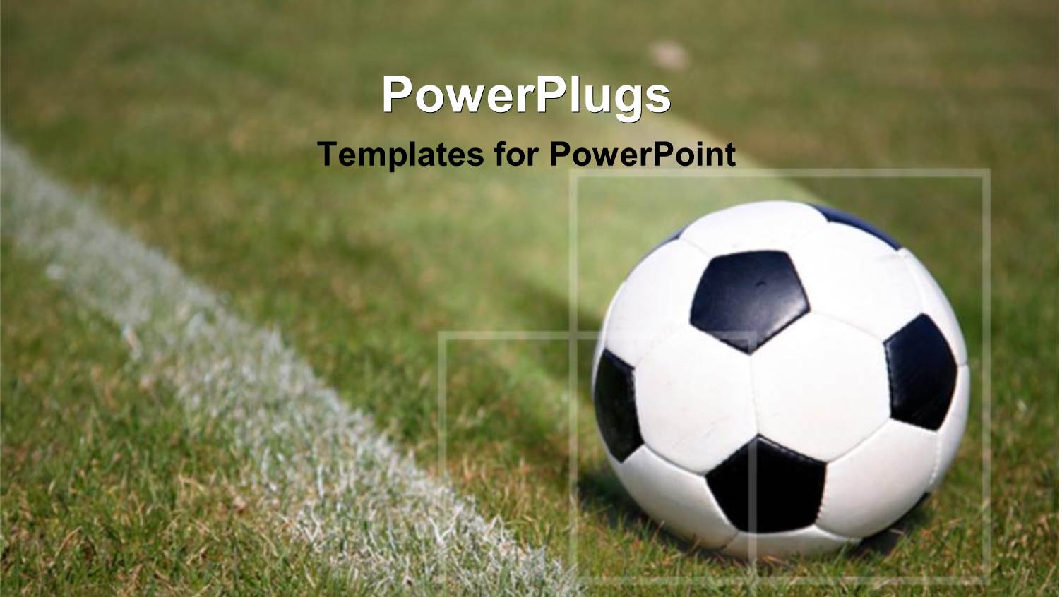 Soccer Ball on Field