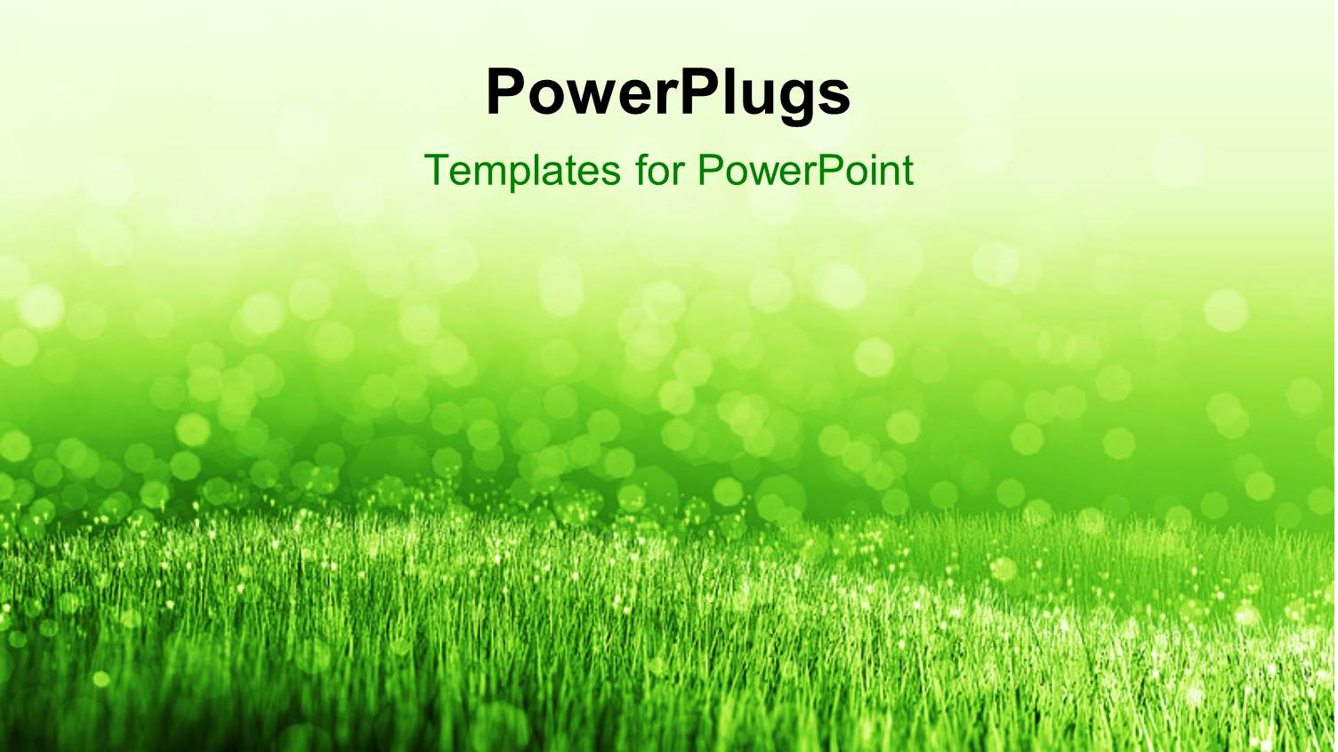 Spring Background with Green Summer Grass and Water Droplets