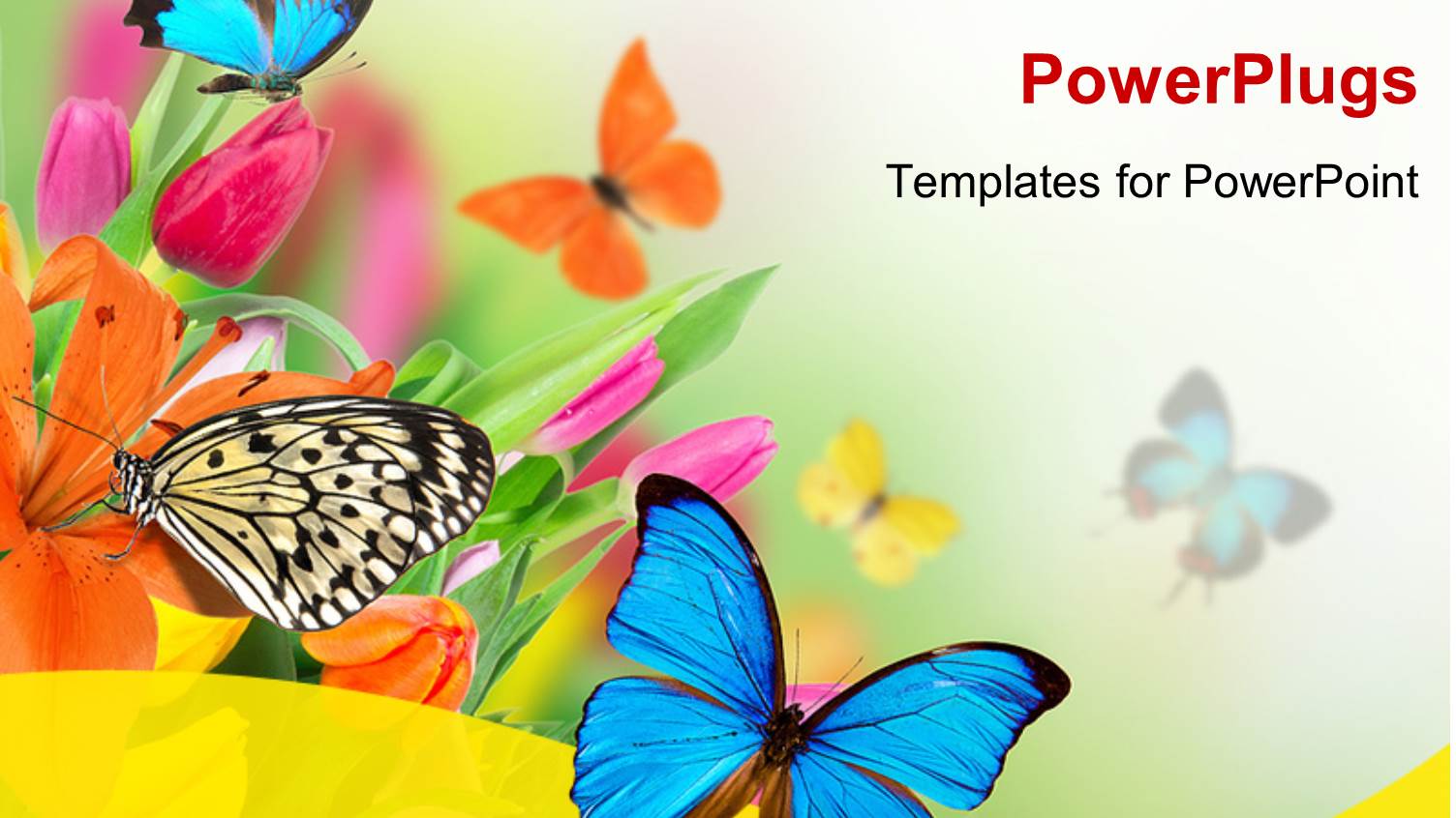 Spring Flowers with Exotic Butterflies