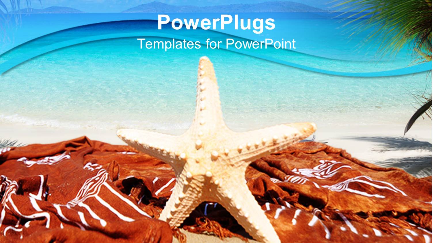 Standing White Colored Star Fish on a Tropical Beach