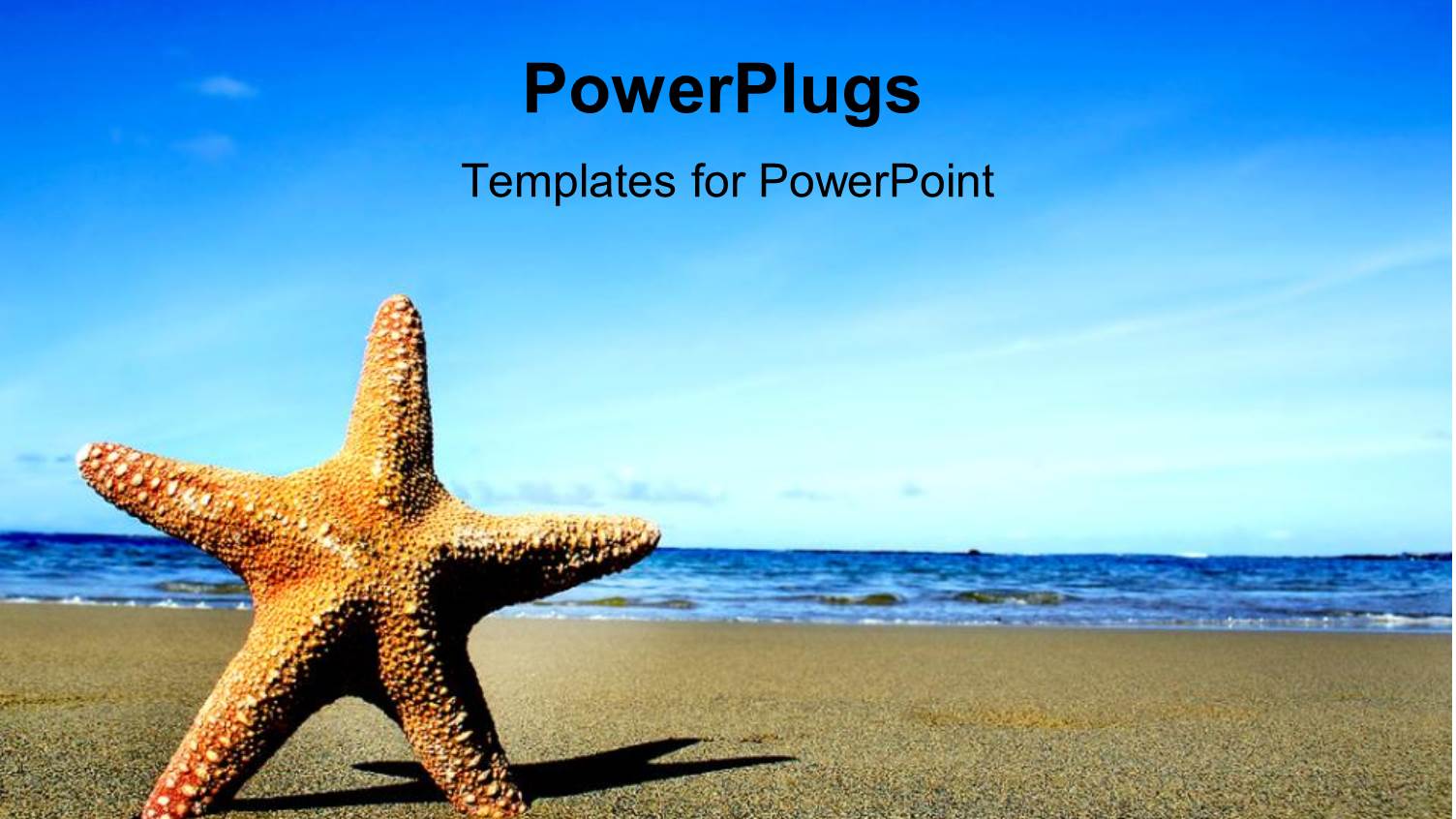 Starfish on Sandy Beach and Blue Sea with Blue Sky