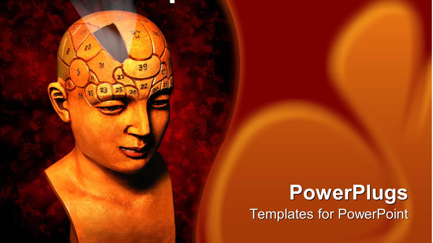 Statue Bust of Human Head for Psychology Evaluation of Brain