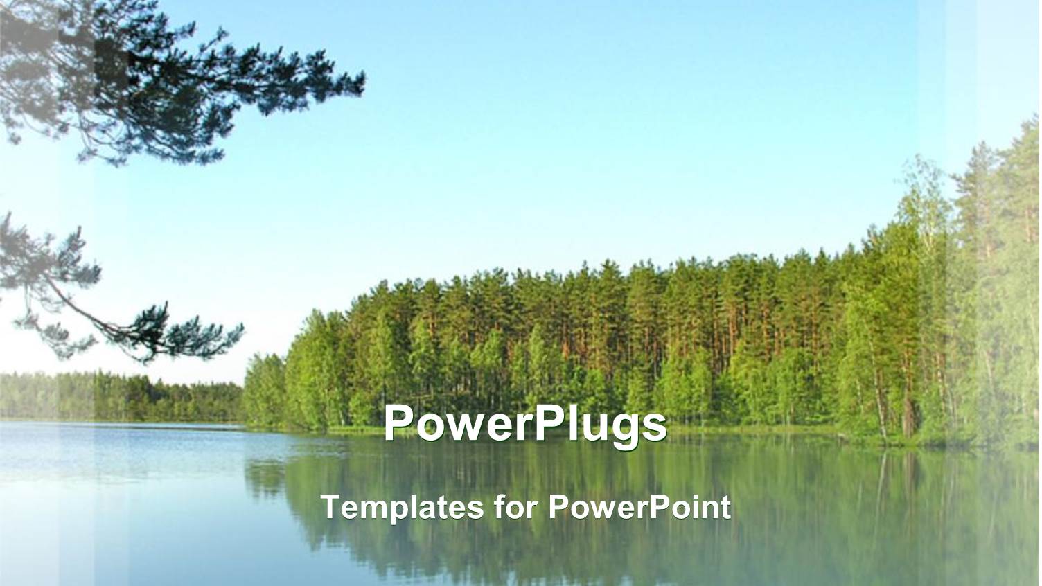 Still Water Andand Trees Planted by the the River Side