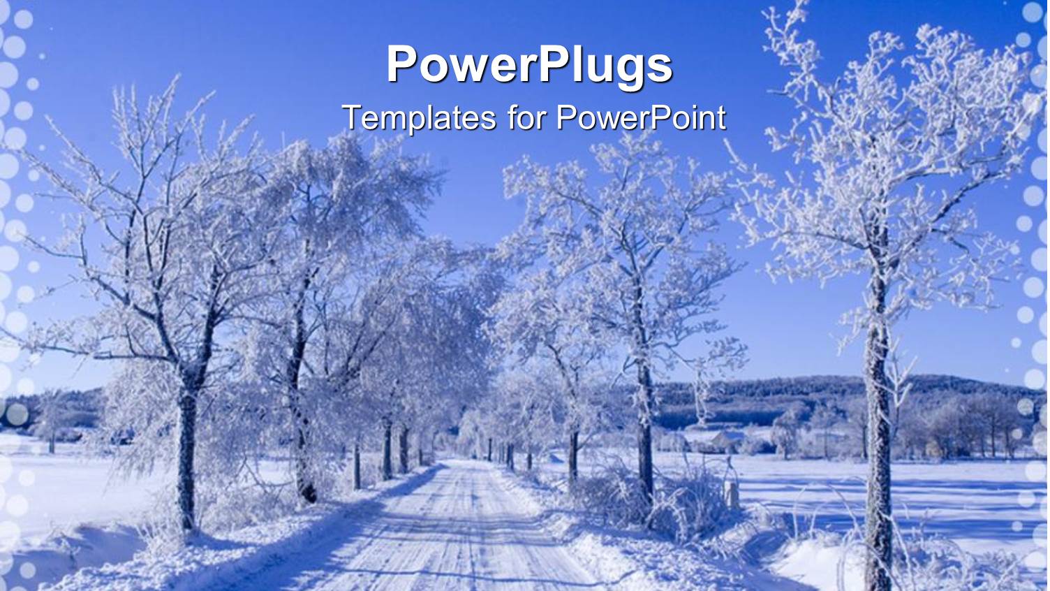 Straight Path Snowy Between Withered Trees Filled with Snowy Mountains in Distance