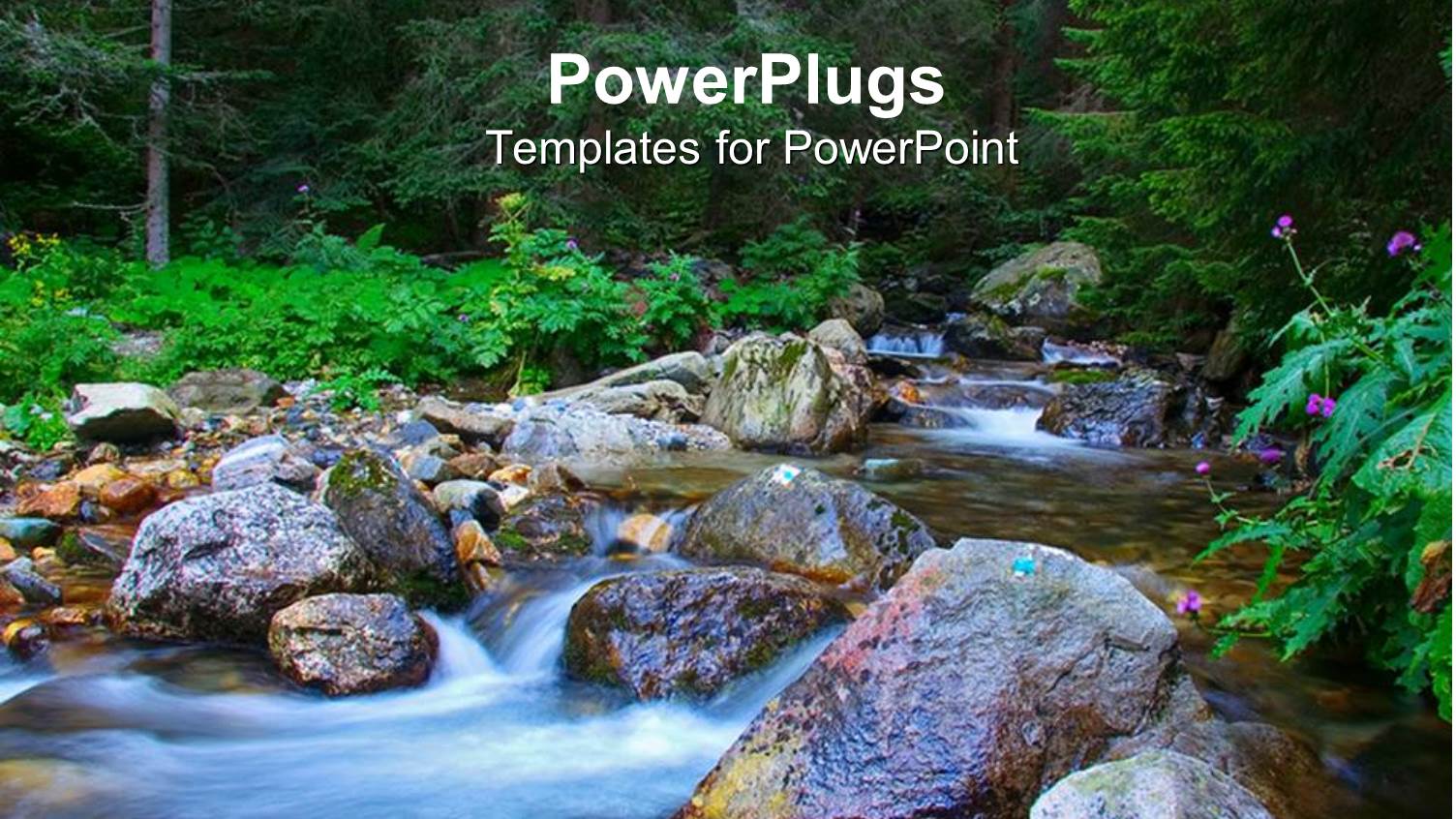 Stream Rushing Over Rocks in Forest