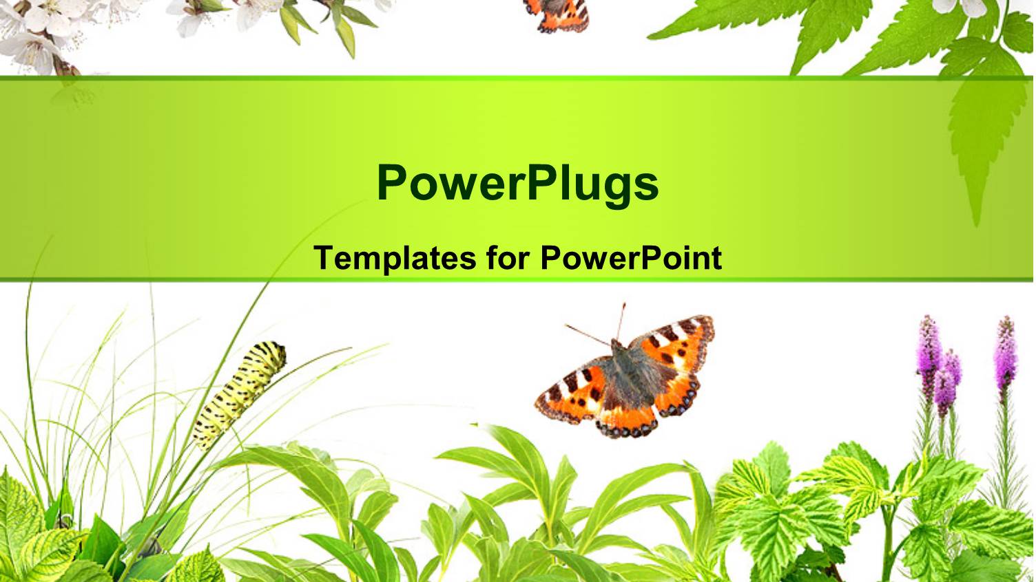 Summer Frame with Green Leaves, Flowers and Insects Over White Background