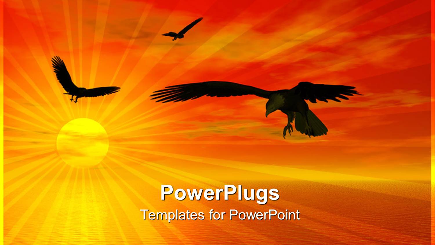 Sun Set View of Birds Flying Around a Calm River