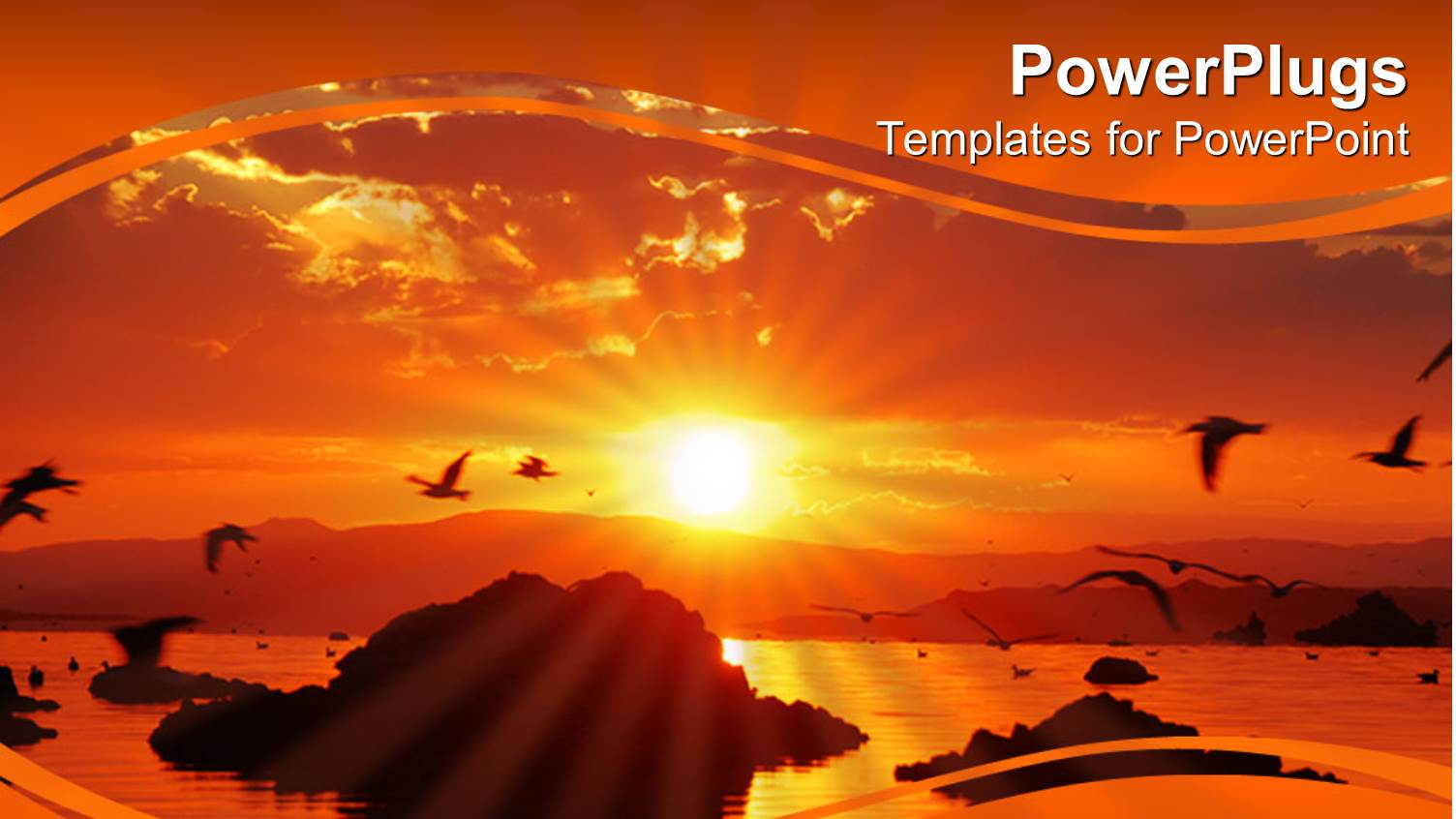 Sun Set View of a Wide Lake with Birds