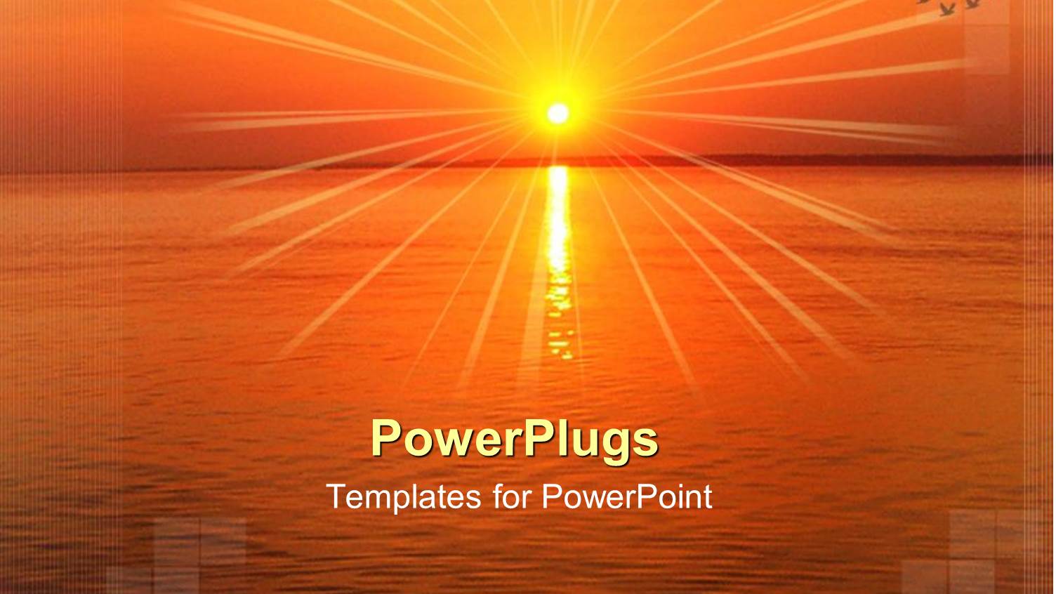 Sun Set View on a Wide Sea and Birds Flying