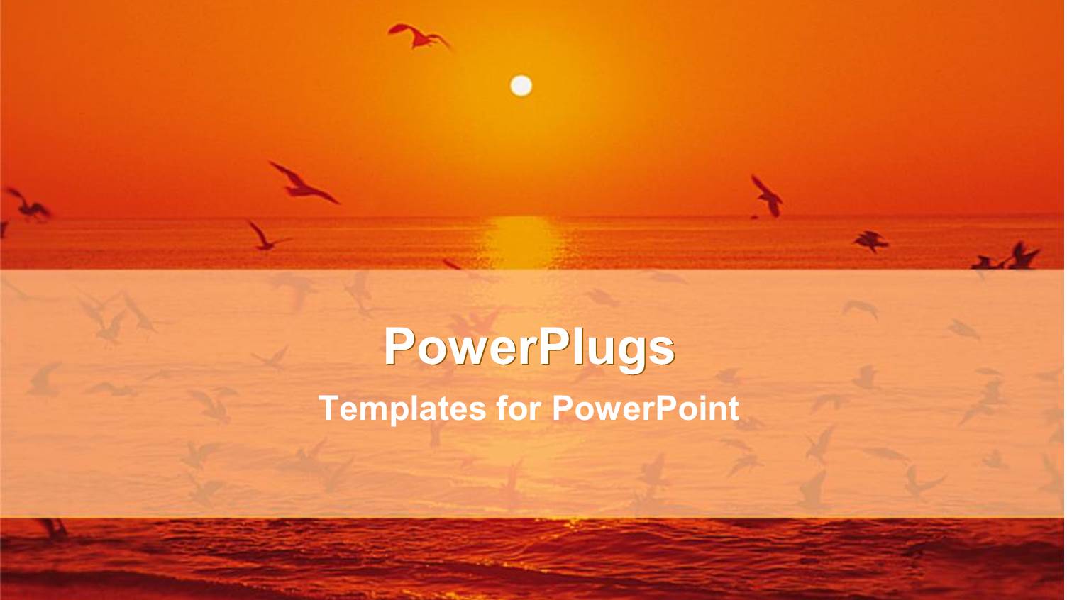 a Sunset in the Background of an Ocean