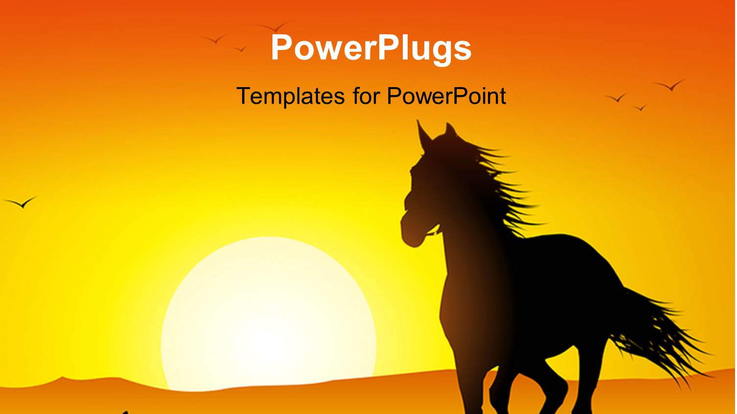 Sunset in Distance with Silhouette of Horse Running in Grass Field