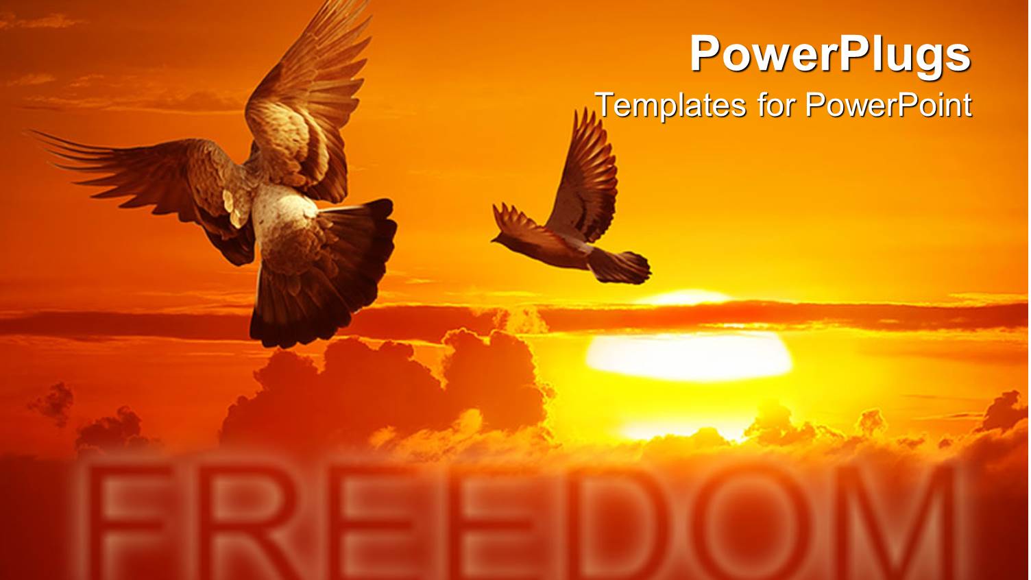 Sunset Glowing on Sea with Two Pigeons Soaring High