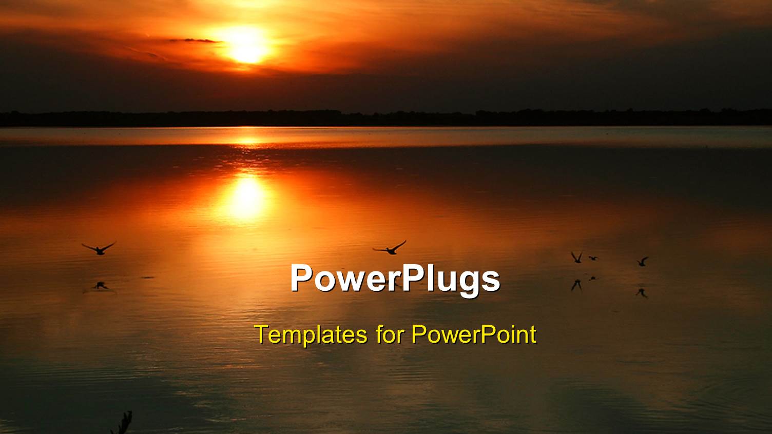 Sunset Over Water with Birds Flying Above Water and Sun in the Background