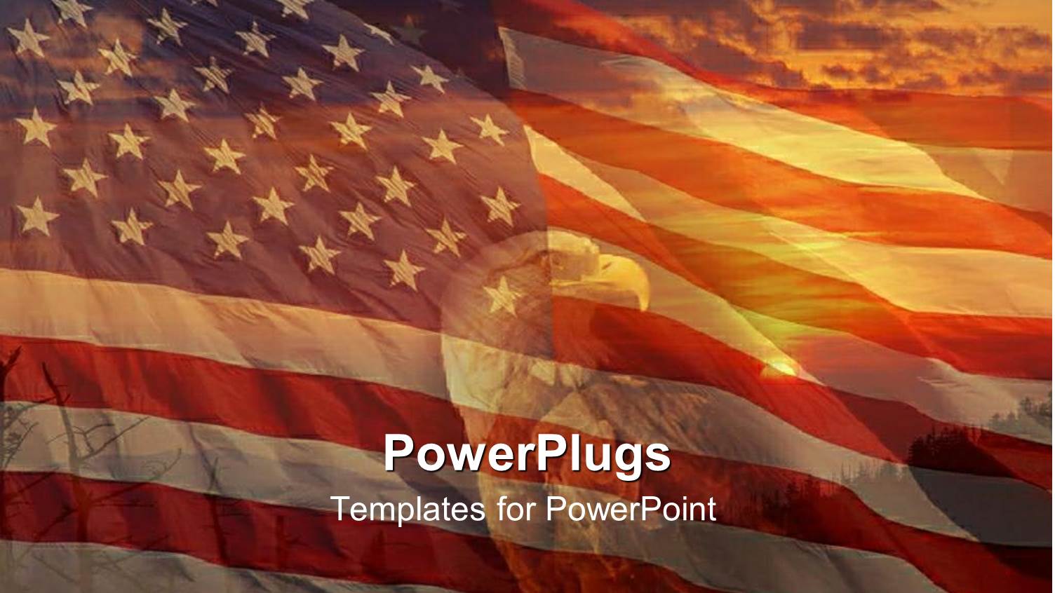 a Sunset View of a Bald Head Eagle Over an American Flag