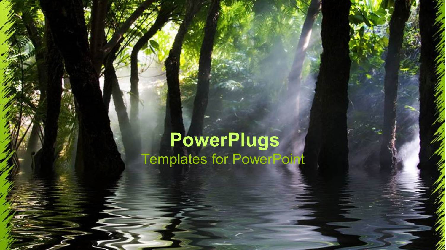 Swamp Marsh Trees Dark Water Fog Sun Shining Through