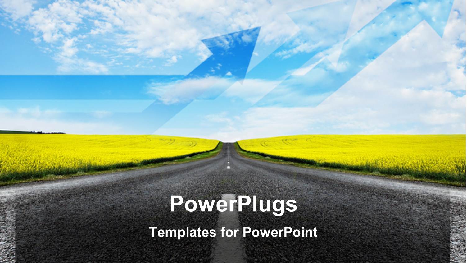 Tarred High Way with Grass Fields on Both Sides