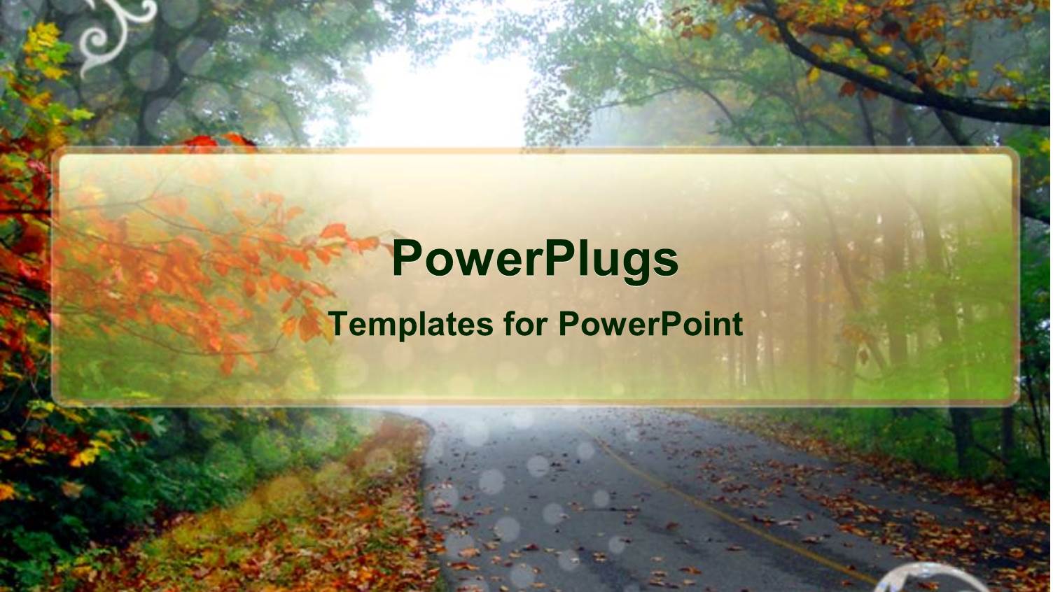 Tarred Road Path Littered with Flowers with Bright Glow from Sky