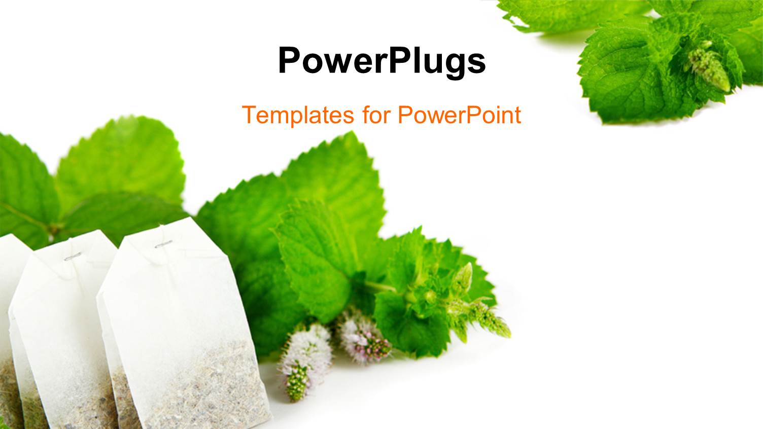 Teabags and Fresh Mint Leaves on a White Background