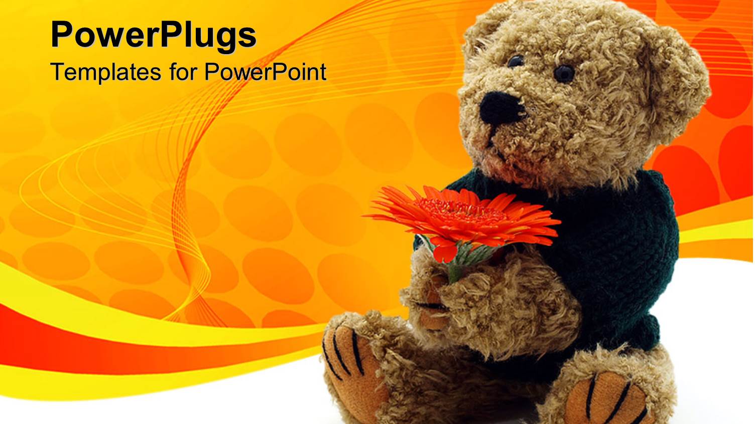 a Teddy Bear Holding Red Flowers Sitting on the Floor