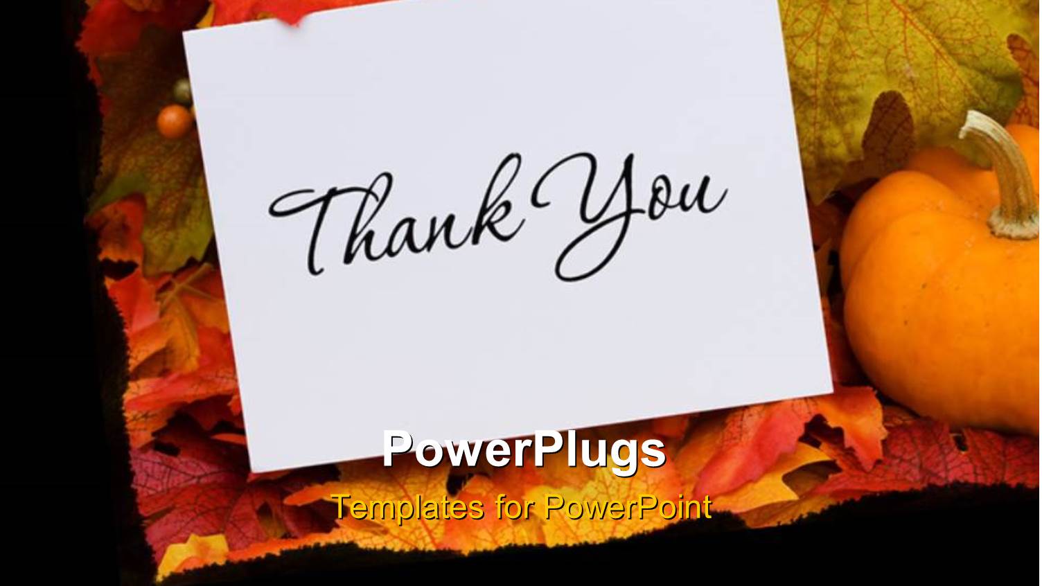 Thank you Card with a Gourd Sitting on a Fall Leaf Background