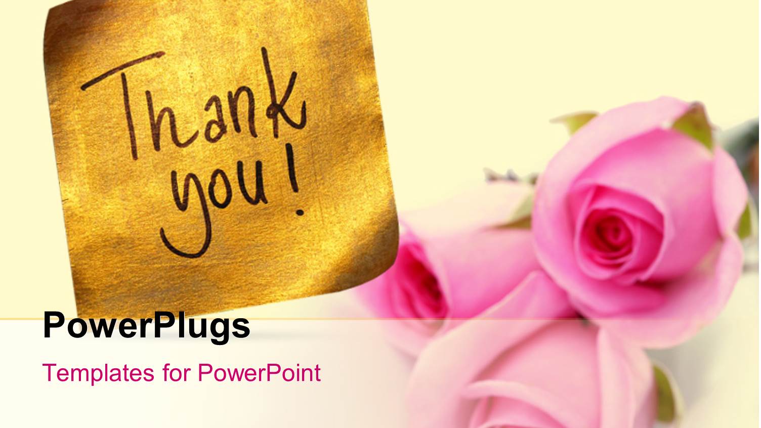 Thank you Message Handwritten on Gold Sticker with Pink Roses