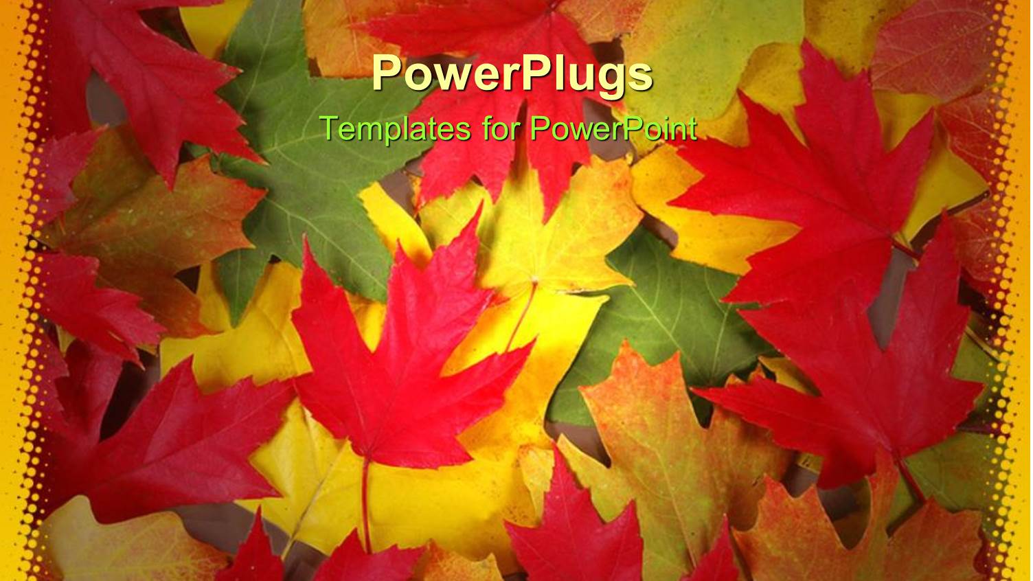 a Theme of Collection of Leaves of Various Colors