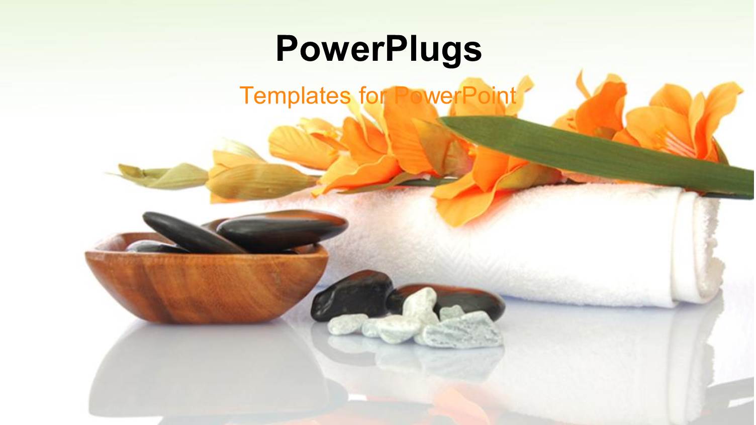 all the Things Needed for a Spa