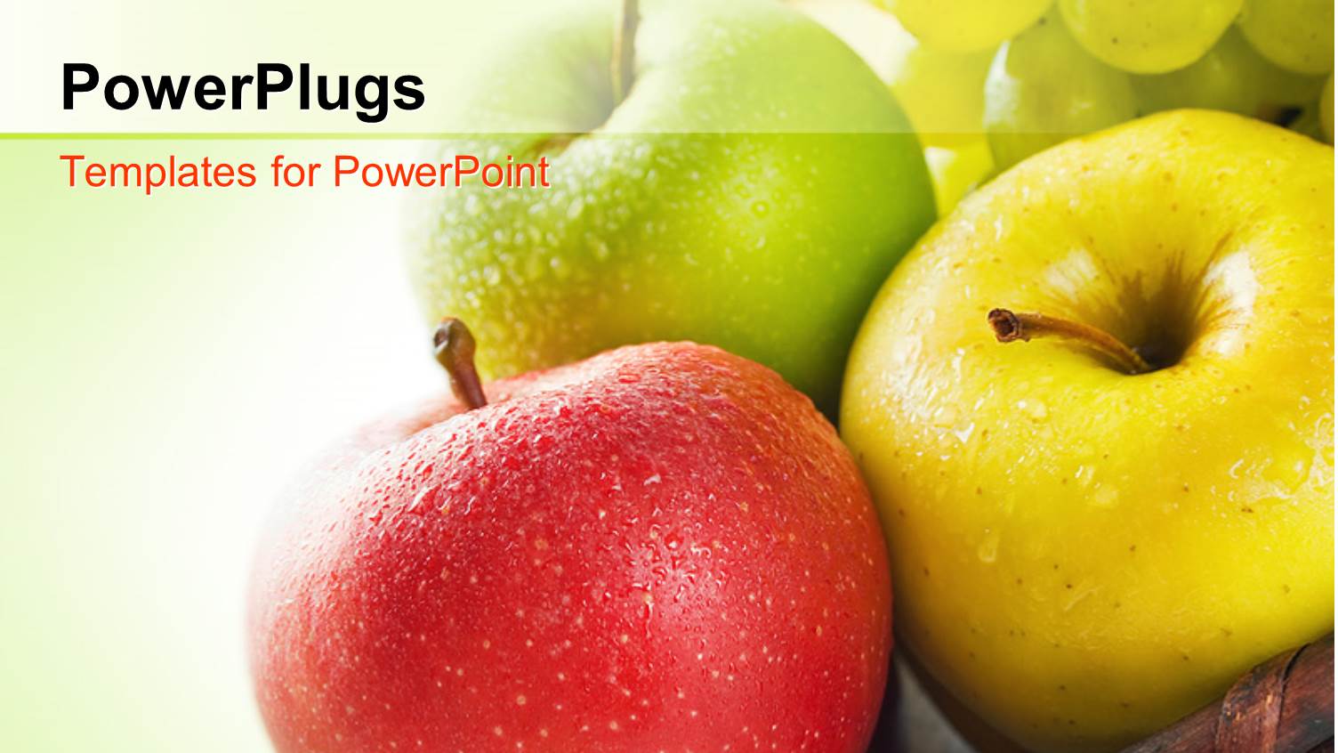 Three Apples of Different Colors, Red, Green and Yellow 