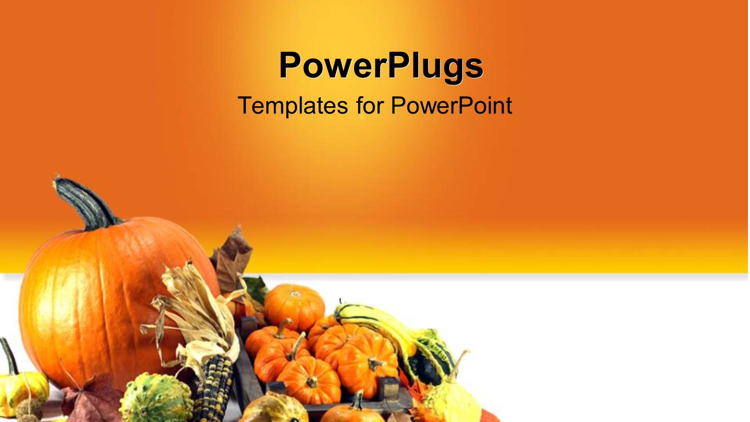 Traditional Symbols of Thanksgiving Day Pumpkins Over Orange Background