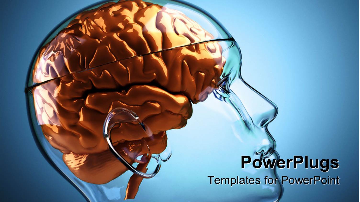 a Transparent 3D Human Head with an Orange Colored Brain