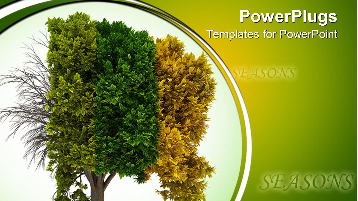 a Tree Depicting the Effect of Four Different Seasons
