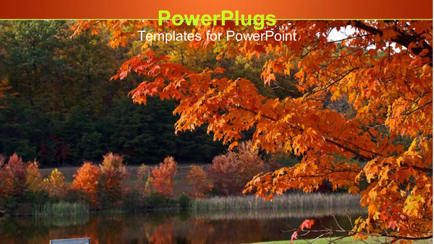 a Tree in the Fall Season with Water in the Background