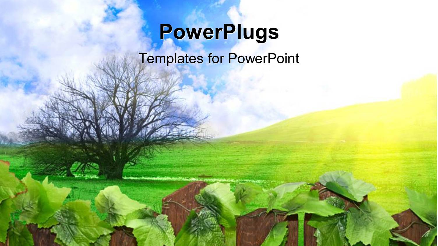 a Tree with some Leaves on a Plain Field and Shinning Sun