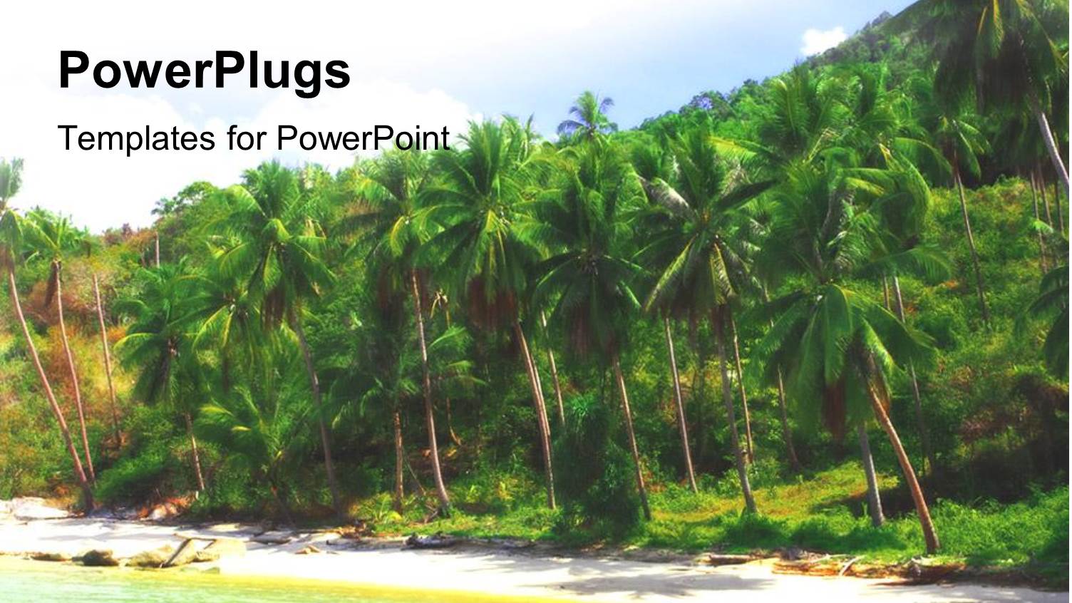 Tropical Beach with Sand, Ocean and Palm Trees, Travel, Vacation, Holiday