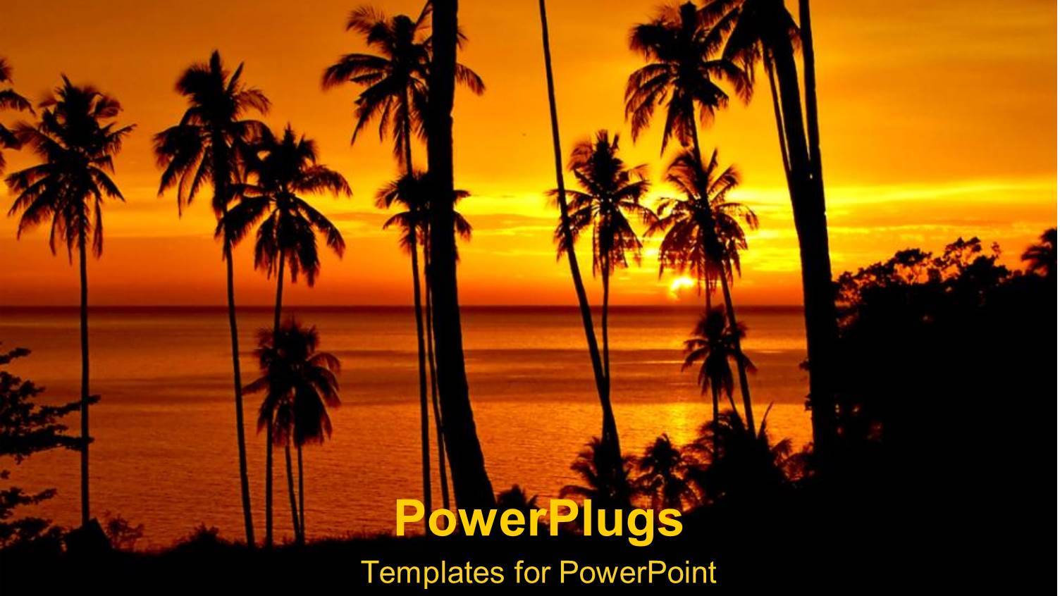 Tropical Landscape at Sunset with Ocean and Palm Trees