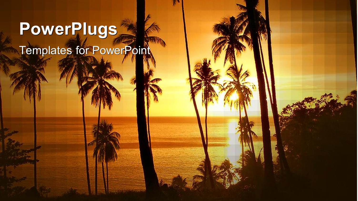 Tropical Paradise with Palm Trees in Silhouette at Sunset, Vacation, Travel, Holiday, Island