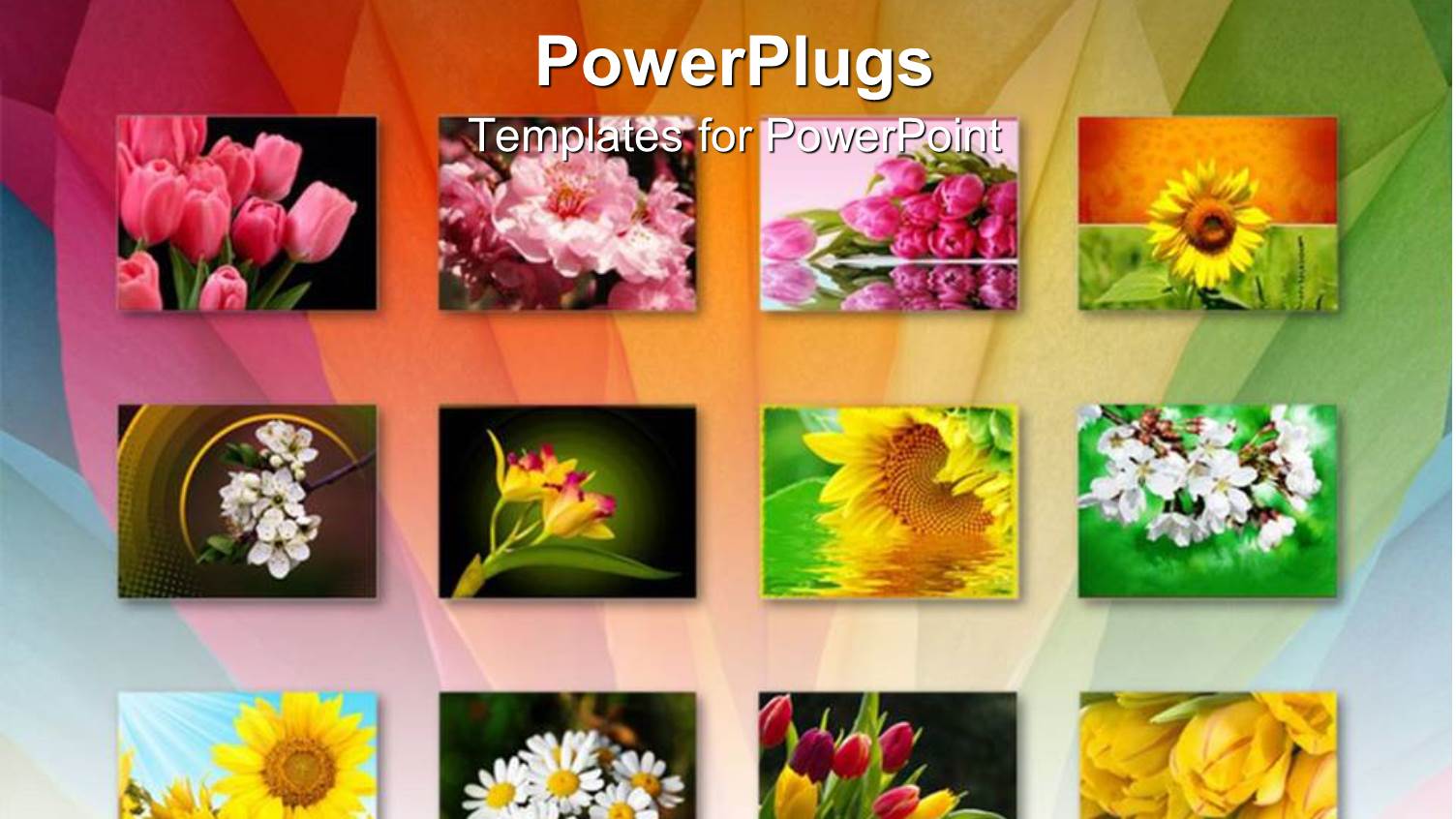 Twelve Depictions of Flowers, Pink Tulips, Sunflowers, White Flowers, Yellow, White Pink and Yellow Flowers