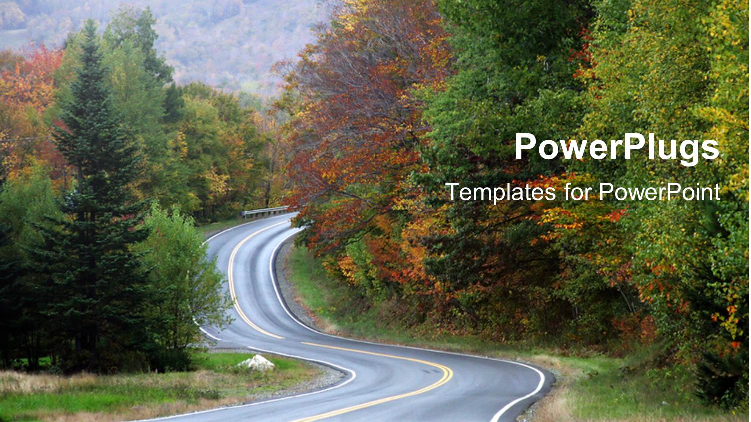 Twisting Turning Road to Success Long Driving to Destination Autumn