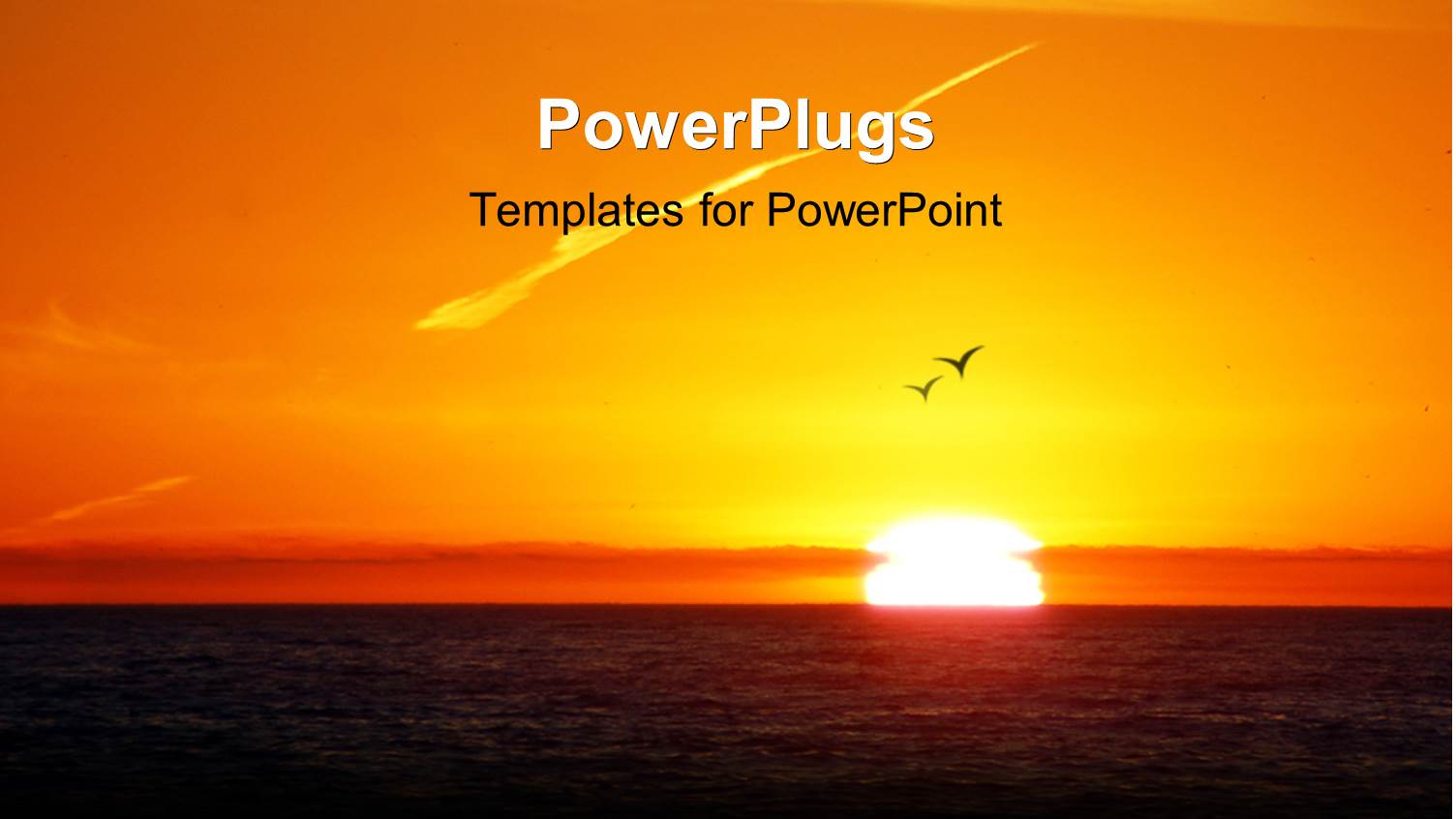 Two Birds Soaring High in Sky with Beautiful Sunset Over Sea